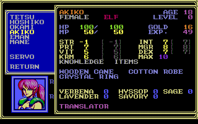 A screenshot from the MS-DOS edition of Sorcerian, showing off the various statistics of a female elf character. 