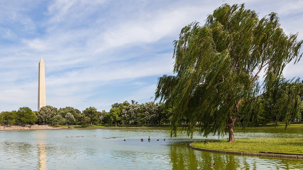 Constitution Gardens, Washington, DC