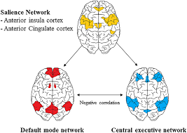 Go with the flow: A neuroscientific ...