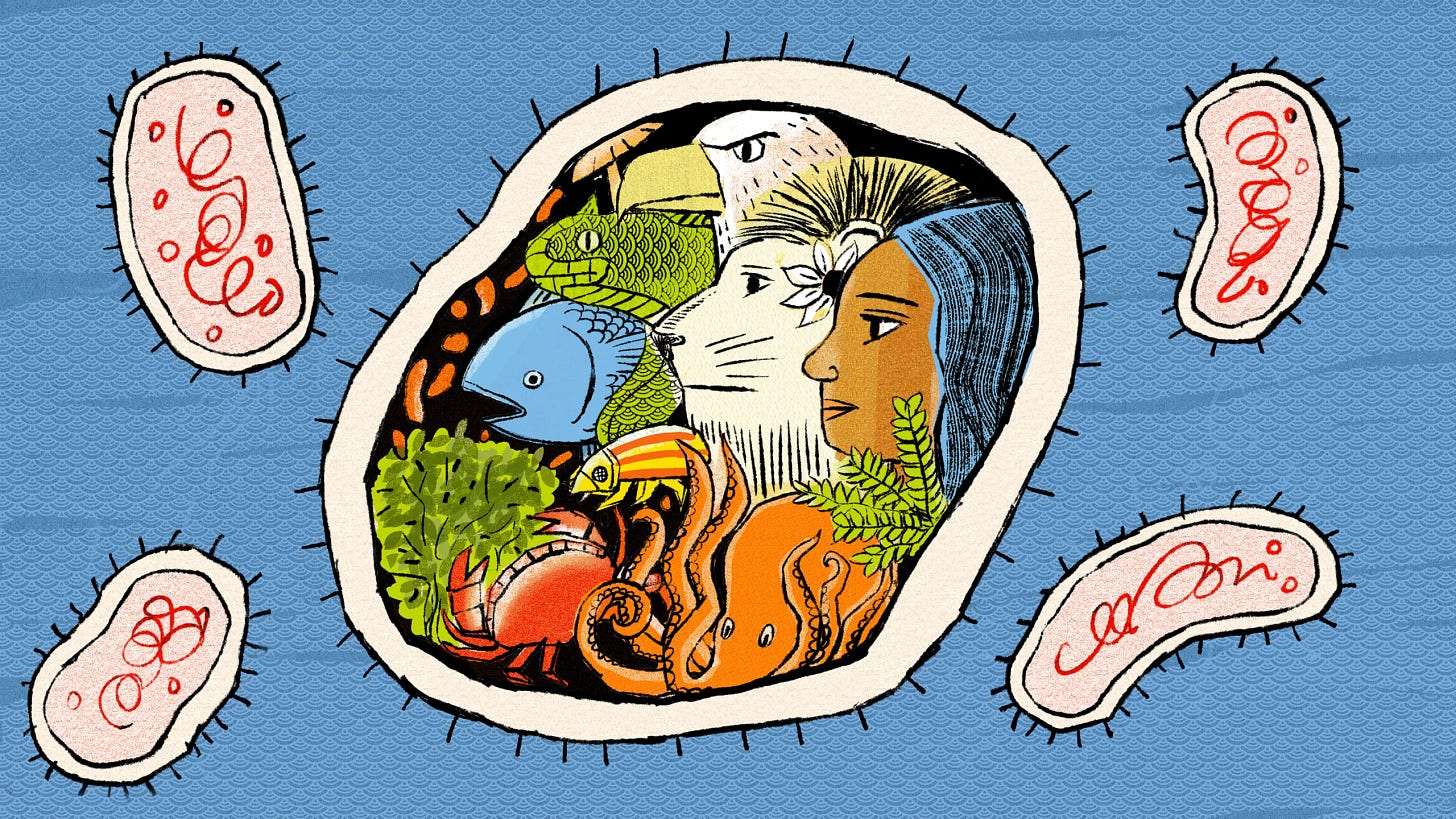 An illustration shows a diverse menagerie of modern life forms — human, fern, fish, bird, lion, octopus, crab, tree, and more — inside a cell membrane.