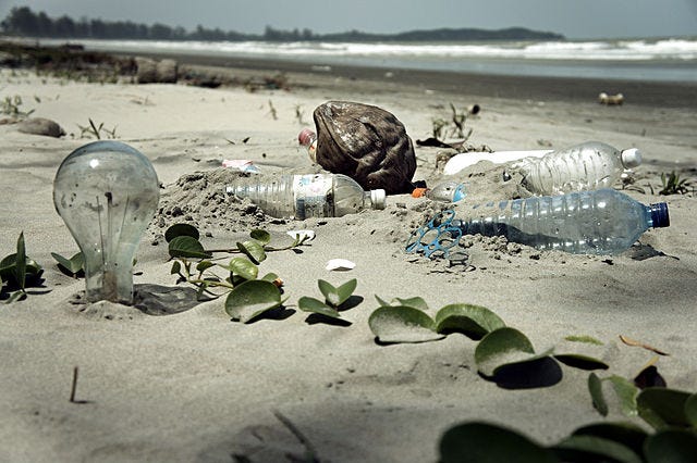 640px-Water_Pollution_with_Trash_Disposal_of_Waste_at_the_Garbage_Beach-Wikimedia