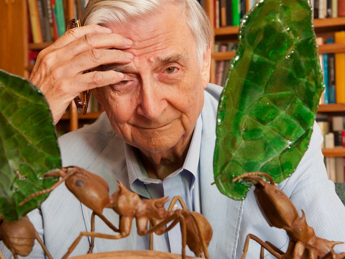 Edward O Wilson, naturalist known as a 'modern-day Darwin', dies aged 92 |  Conservation | The Guardian