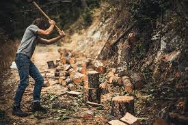 chopping wood | Nature Stock Photos ~ Creative Market