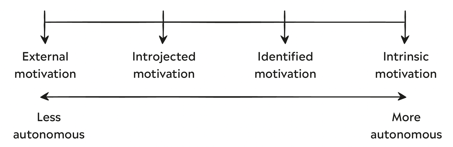Linear spectrum of different types of motivation between intrinsic and extrinsic.