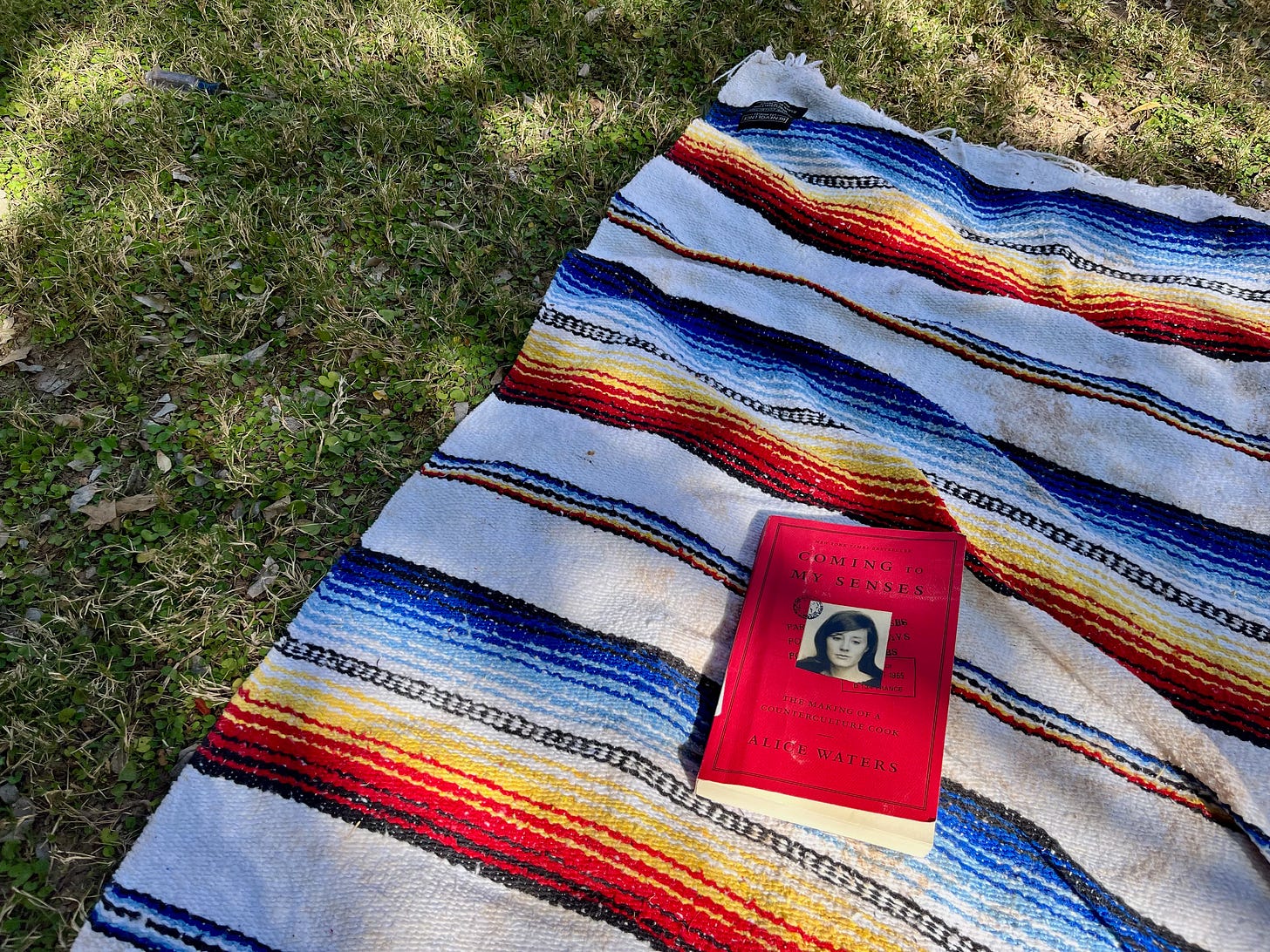 a picnic blanket on the ground with my copy of Coming to my Senses by Alice Waters resting on top
