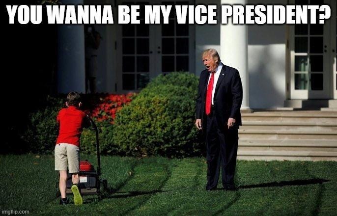 trump standing on lawn shouting at child mowing the grass "You wanna be my vice president?"