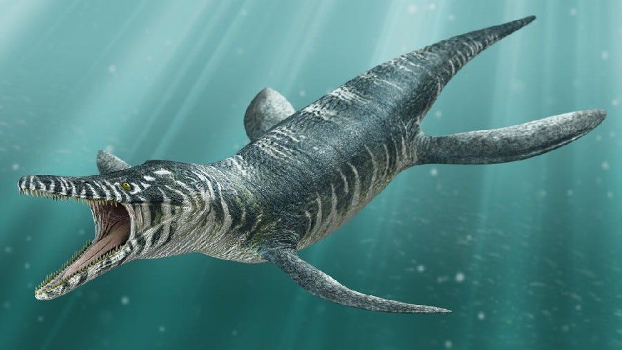 Kronosaurus Pictures & Facts - The Dinosaur Database