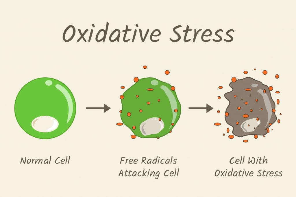 AVFC oxidative stress