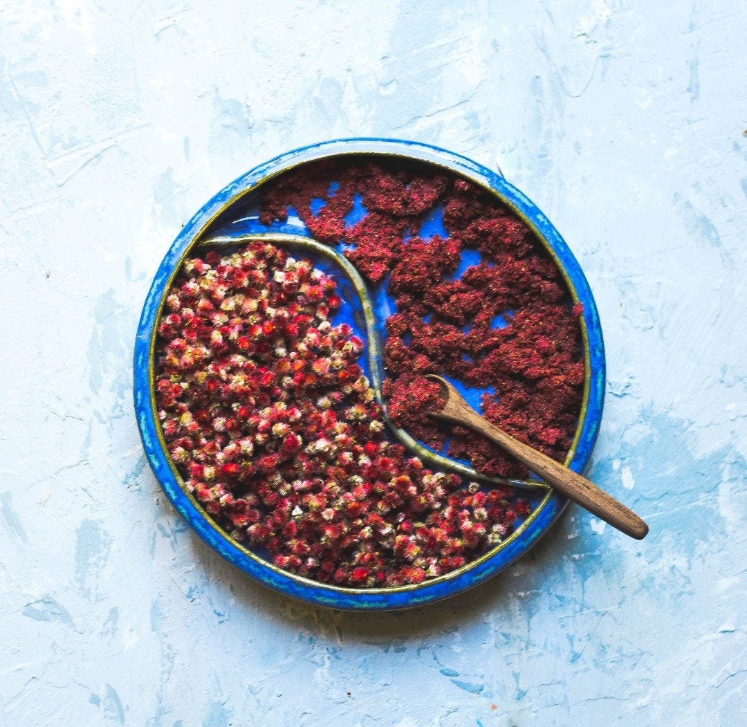 Staghorn Sumac berries and dried ground berries ready to be used in recipes such as The Three Sisters Sizzler