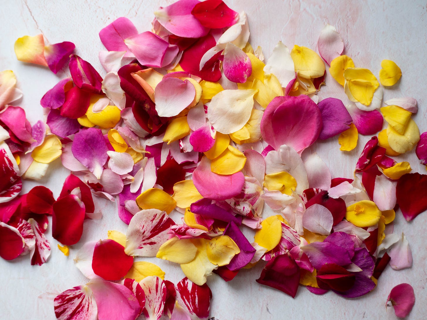 Rose petals