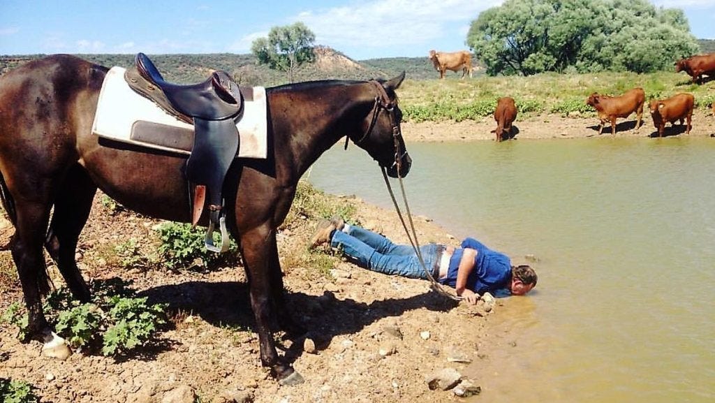 You Can Lead a Horse to Water… - Texas District