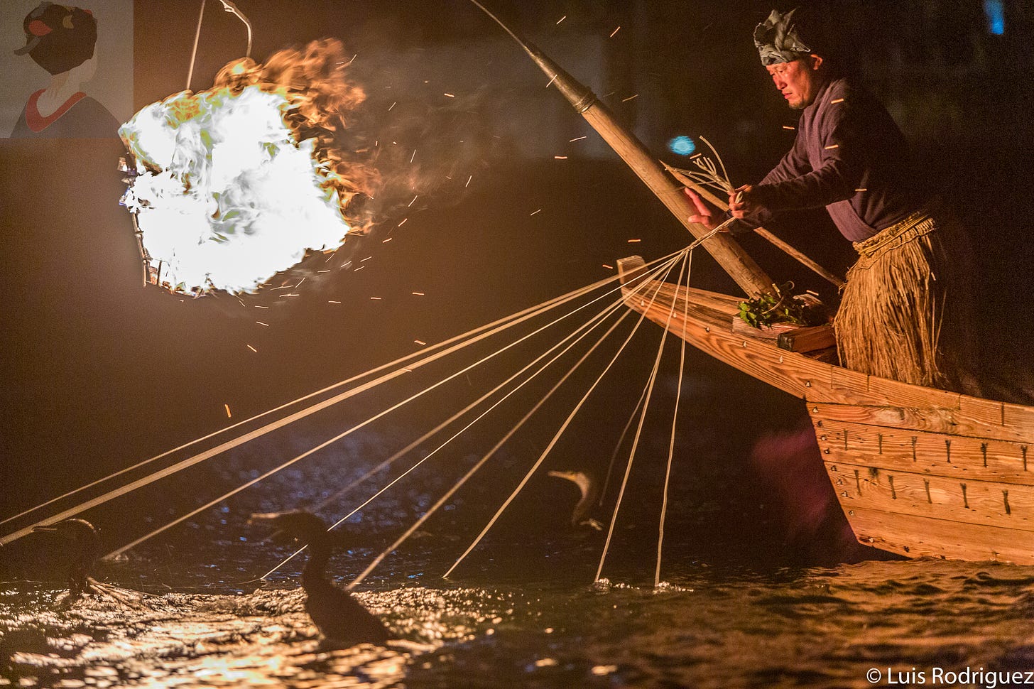 Pesca con cormorán en el río Nagara