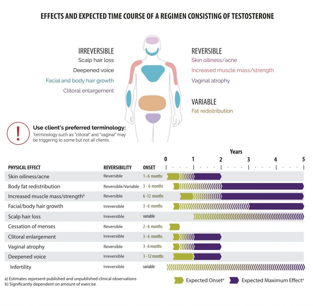 A graph, describing the effects of testosterone HRT. It shows an expected onset of all effects by 12 months, and virtually all "maximum effects" by two years.