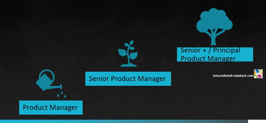 3 levels of product managers