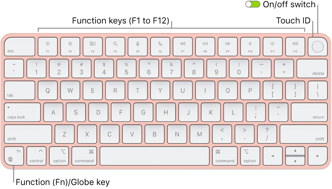 Magic Keyboard - Apple Support (SG)
