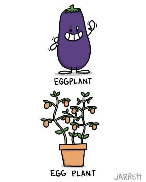 An eggplant smiles and waves. It is labelled "EGGPLANT." A plant in a pot with eggs hanging from it's branches is labelled "EGG PLANT."
