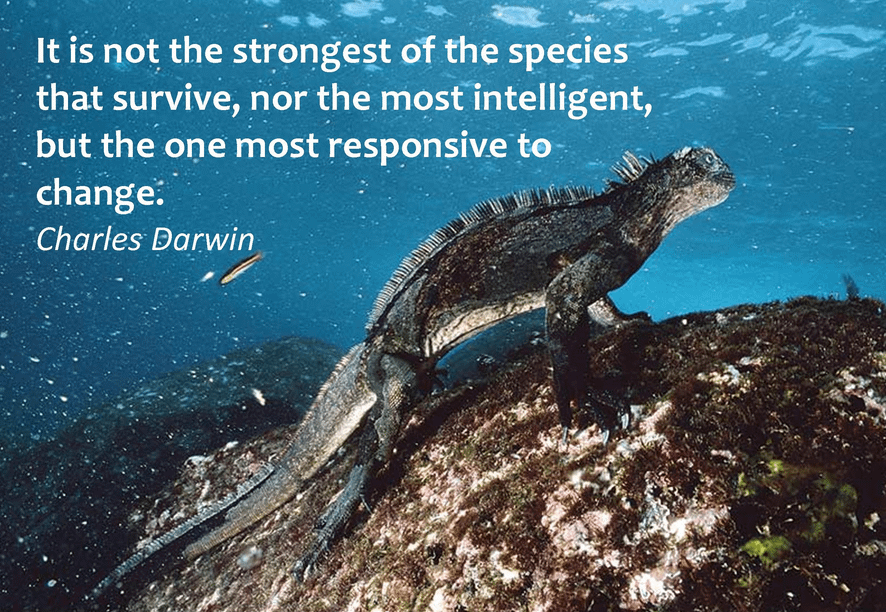 It is not the strongest of the species that survive, nor the most  intelligent, but the one most responsive to change." Charles Darwin  [886x612] : r/QuotesPorn