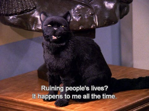 Still of Salem the black cat from Sabrina the Teenage Witch.
