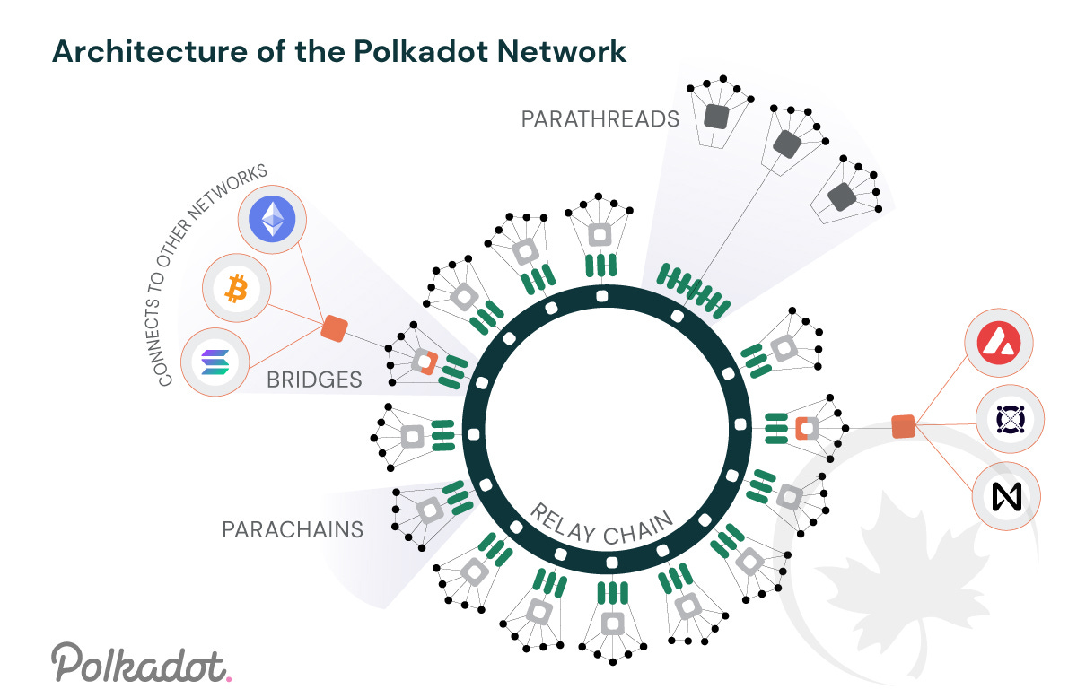 All about Polkadot and Kusama parachain auctions – MapleblockCapital