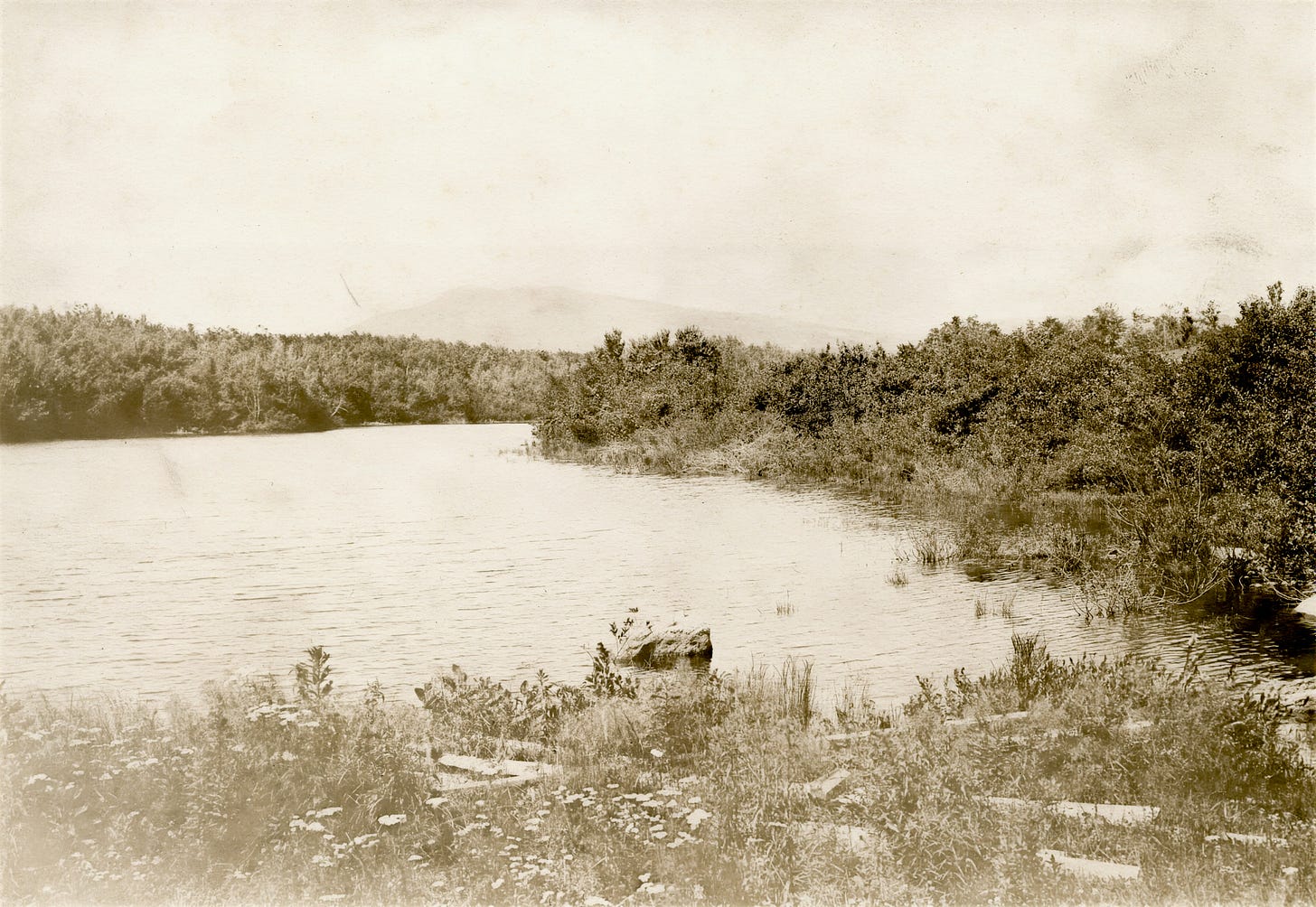 pond with hill in background