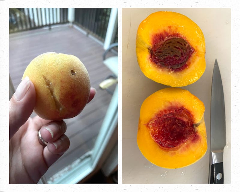 on the left, a sad looking peach; on the right, a beautiful peachy cross-section