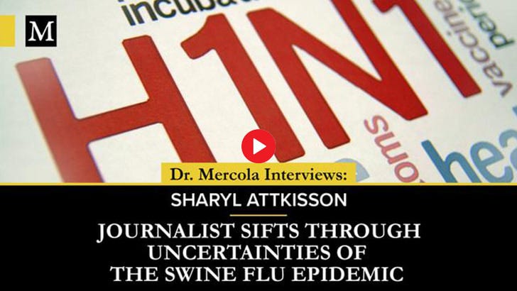 Journalist Sifts Through Uncertainties of the Swine Flu Epidemic - Interview with Sharyl Attkisson