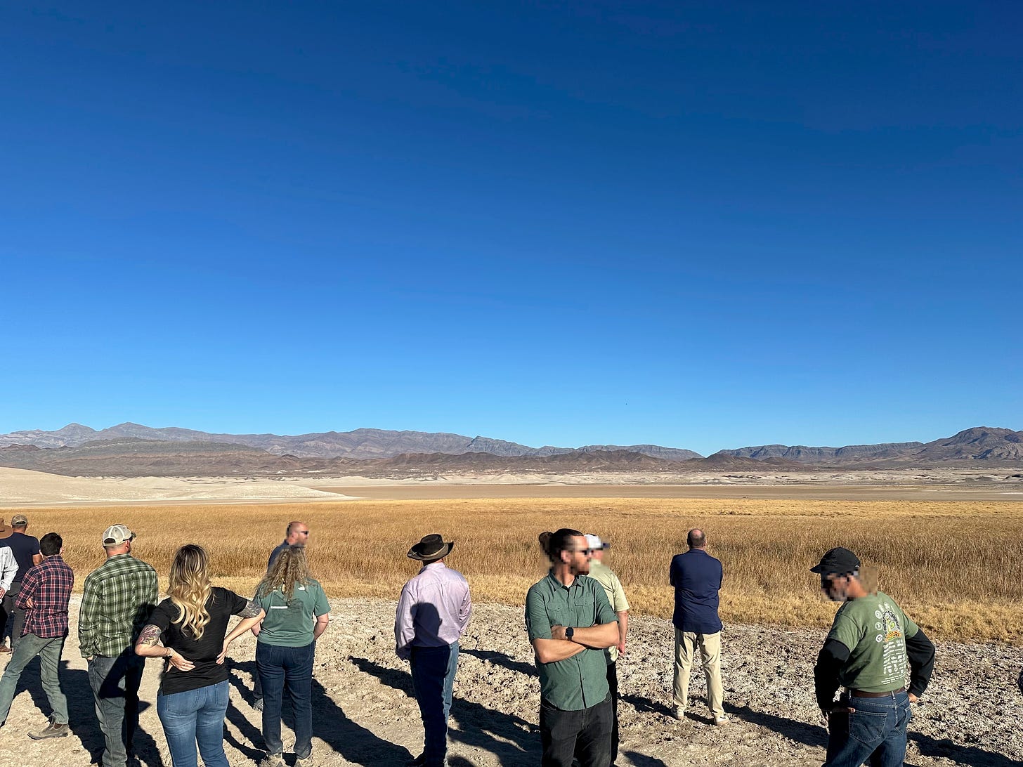 a blue desert sky, distant brown mountains, a wetland of tan rushes in the foreground, with a dozen people standing in front of them