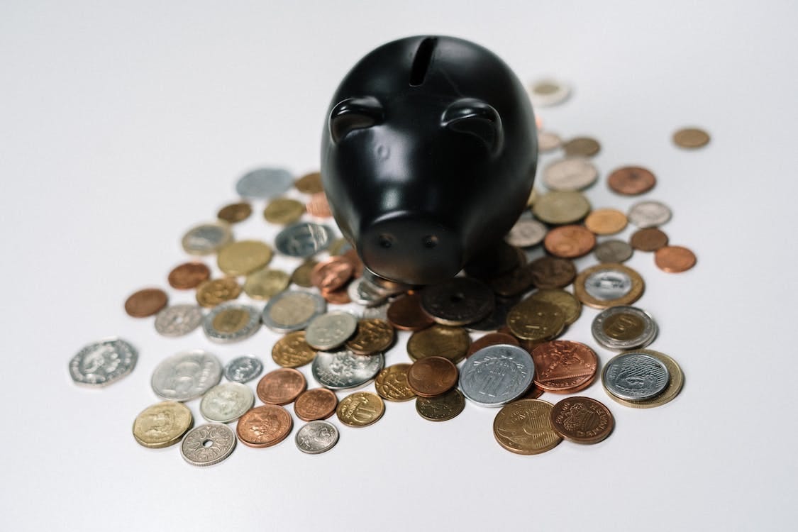 Free A Black Piggy Bank in the Middle of Coins Stock Photo