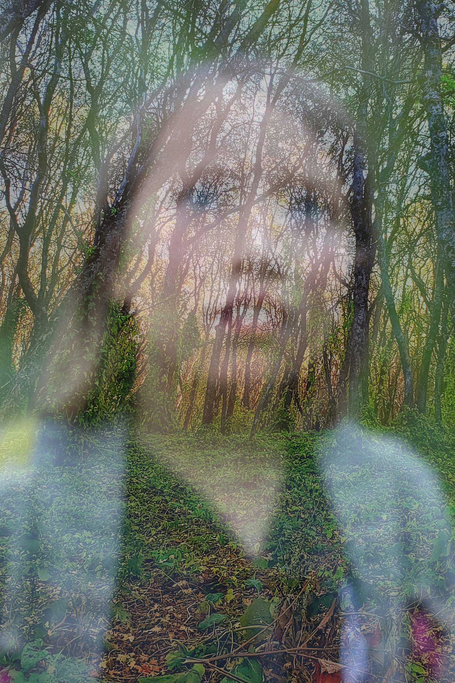 composite of a worried girl in the woods