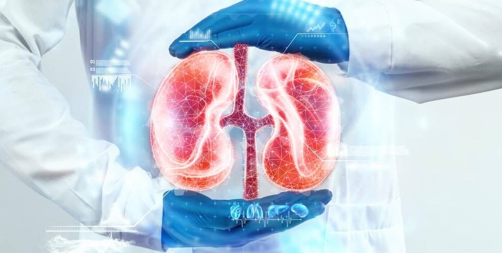 TUDCA For kidney health TUDCA Для здоровья почек