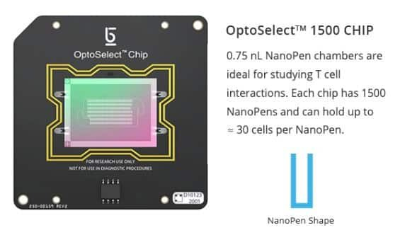 An OptoSelect chip containing NanoPen chambers for sorting cells 