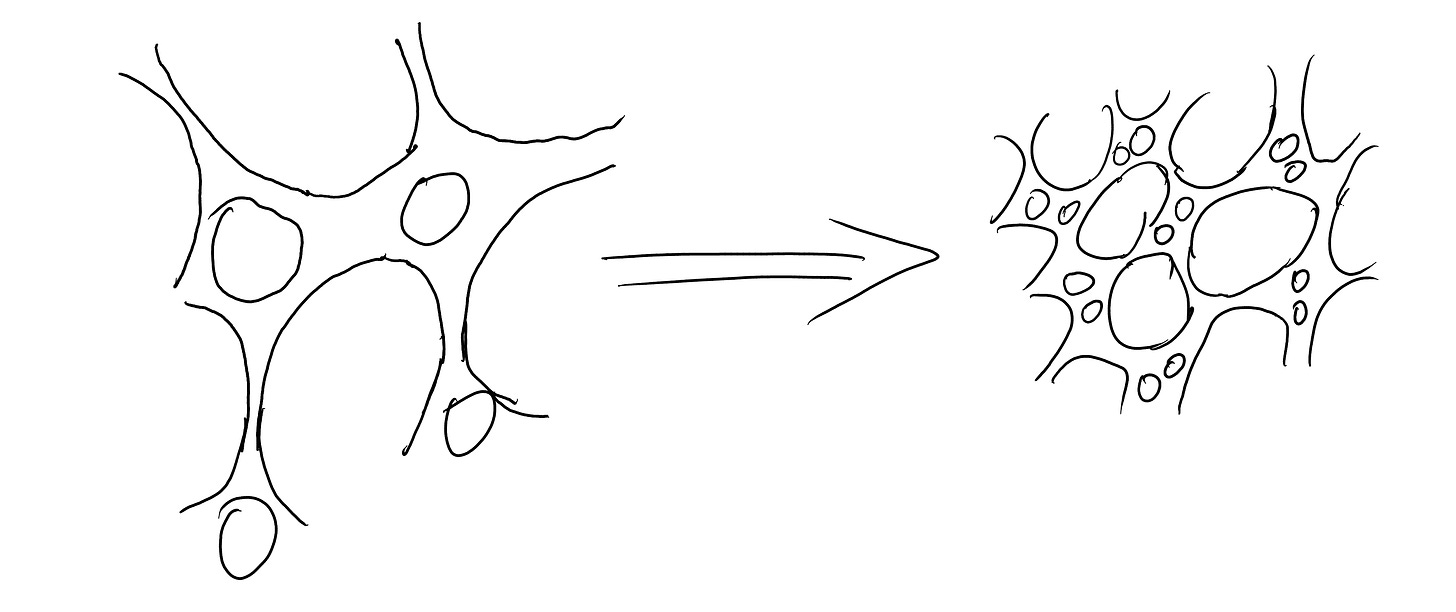 Two diagrams of neural pathways, one with larger and more complex connections on the left and a smaller, denser cluster of neural connections on the right, with an arrow between them indicating an increase in complexity.