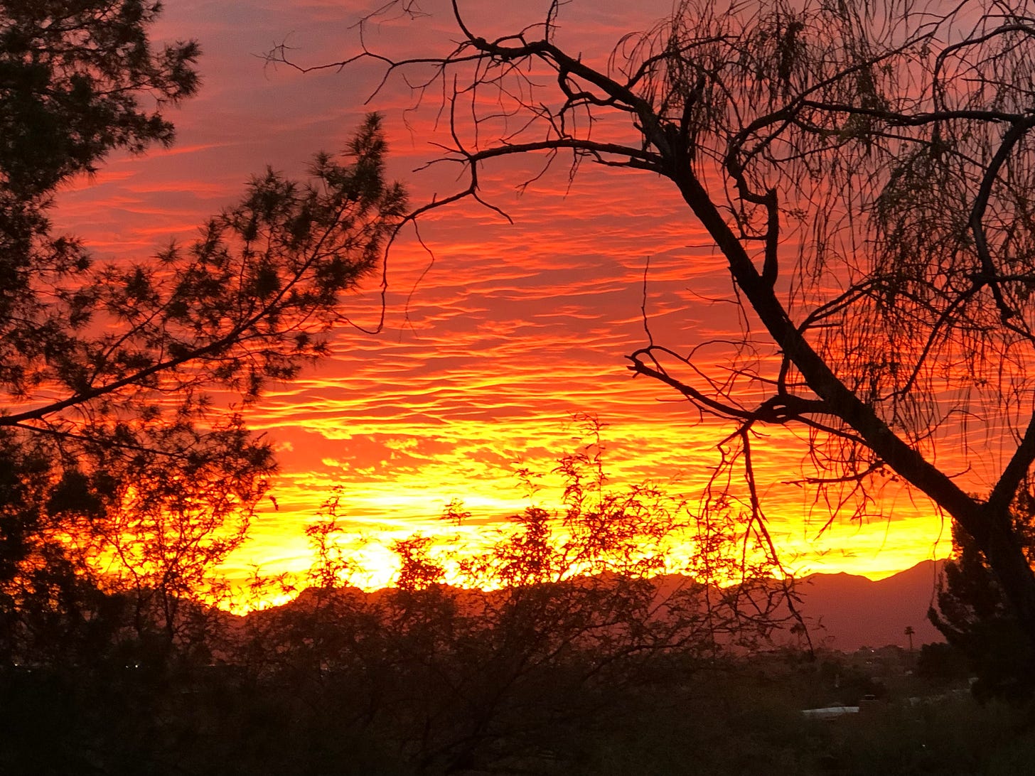Picture of a vibrant desert sunset.