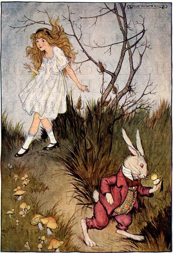 Follow the White Rabbit, Alice's Adventure as a Spiritual Journey – White  Rose of Avalon