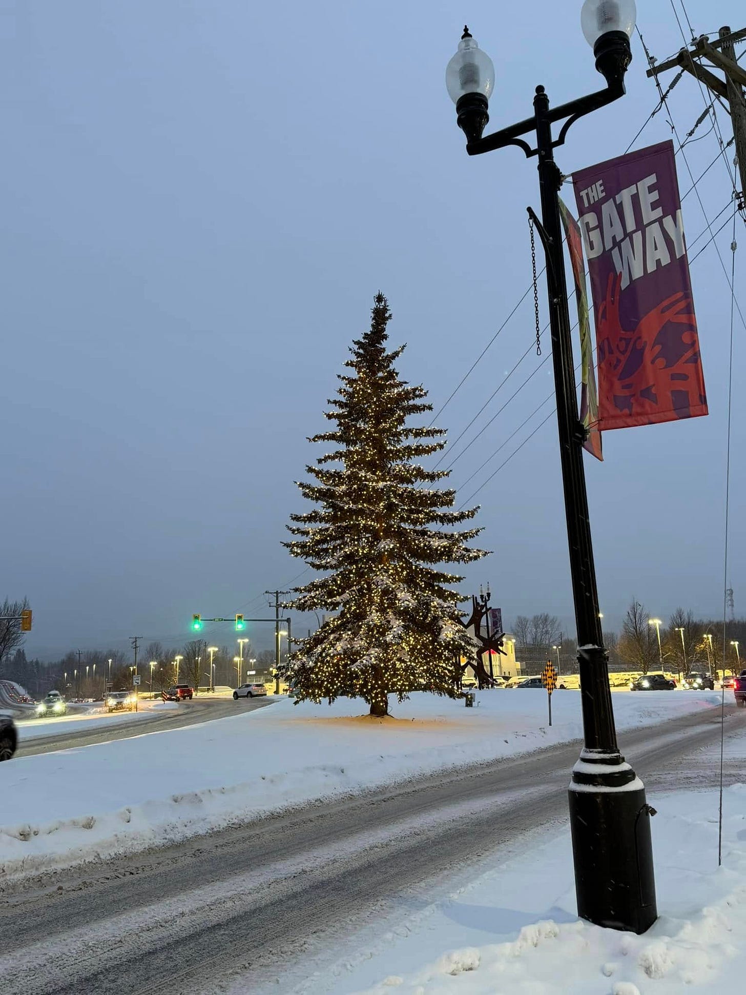 May be an image of christmas tree, road and text