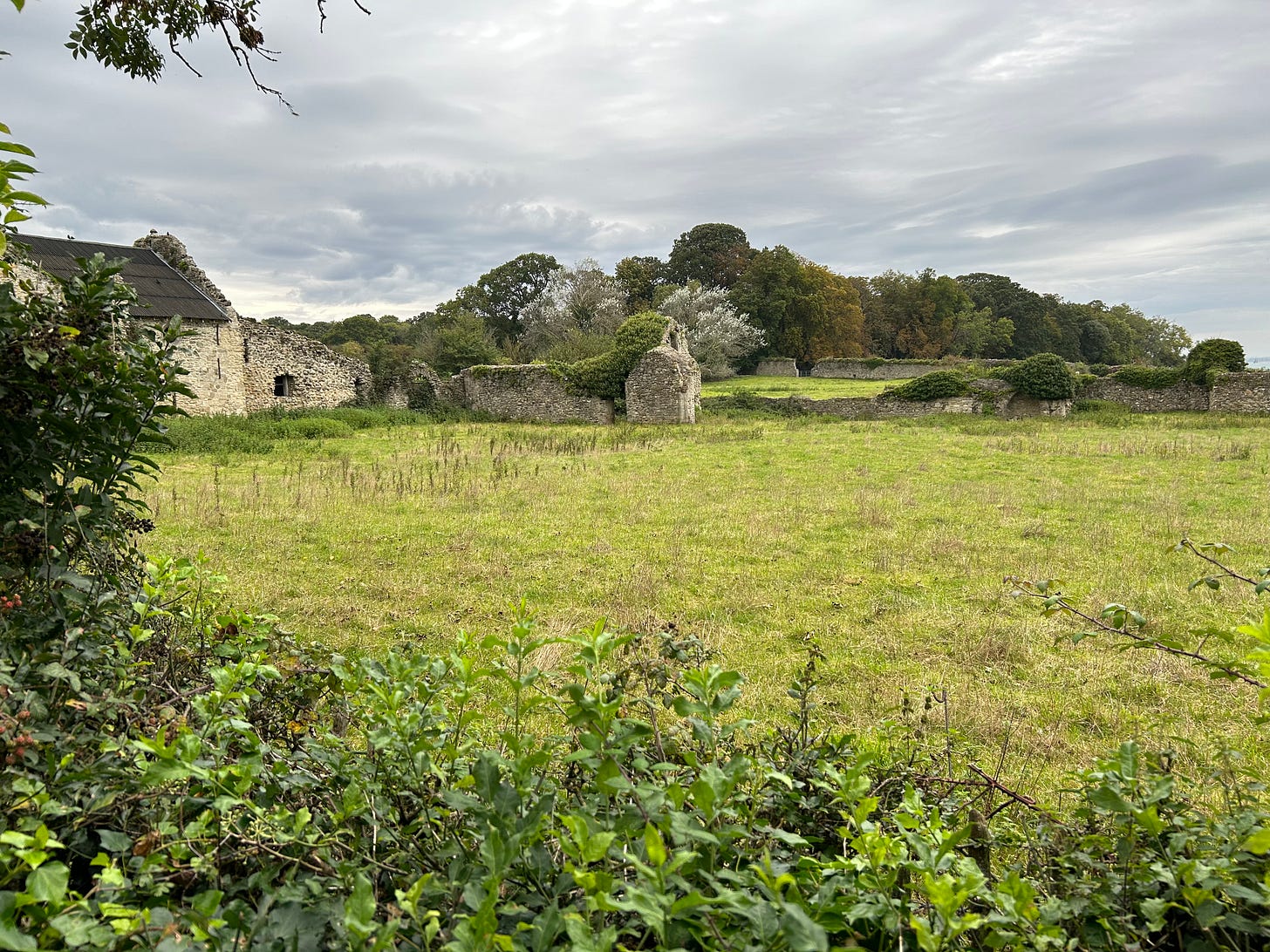 The remains of an old building, just a few surviving low walls in grey stone, in a green field behind a hedge.