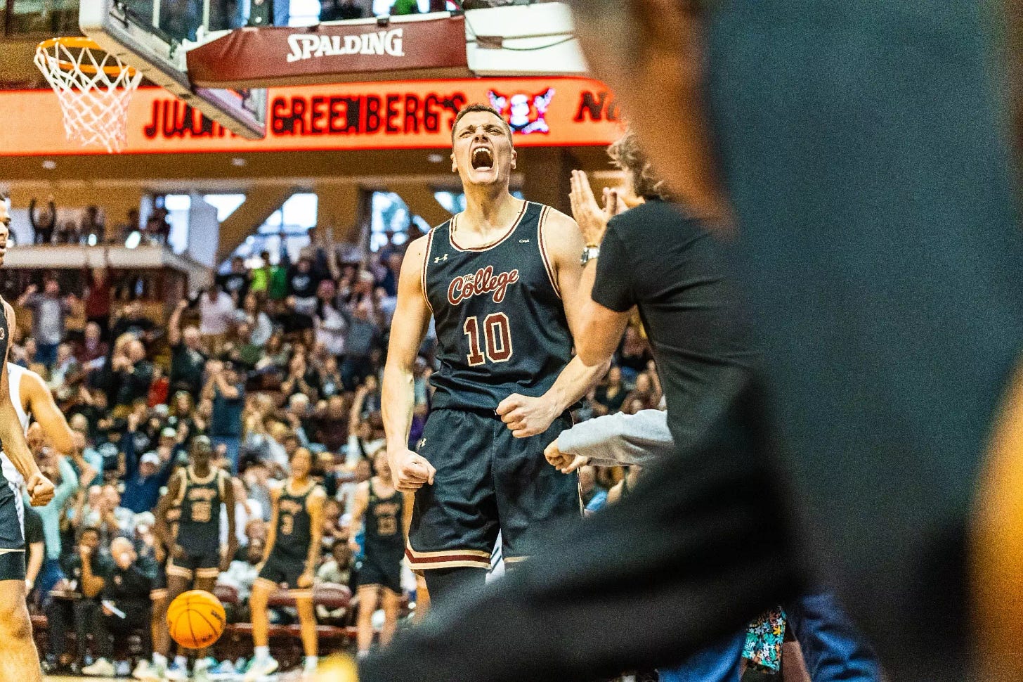 Ante Brzovic - Men's Basketball - College of Charleston Athletics
