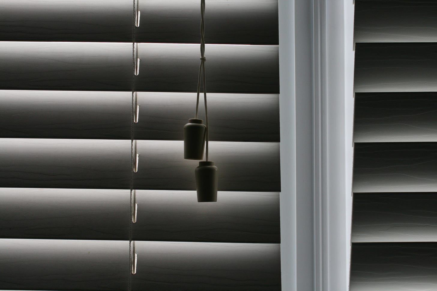 a grayscale photo of window blinds, close-up. The pull cord is visible, and the blinds are closed.