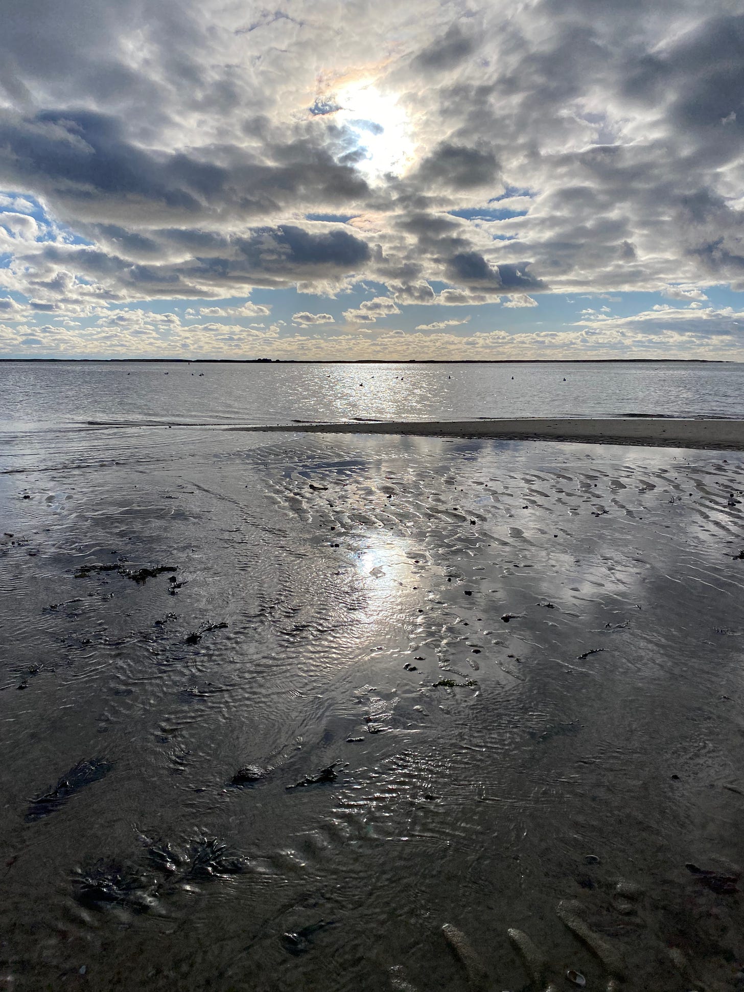 View of a sunlit beach. The sun is shimmering on pools of water, making glittering patterns in the sand. The clouds are dramatic.
