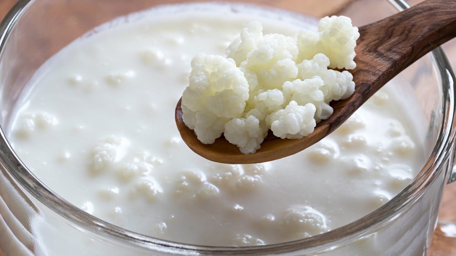Milk Kefir | Our Easiest How to Make Milk Kefir Recipe - Cultures For Health