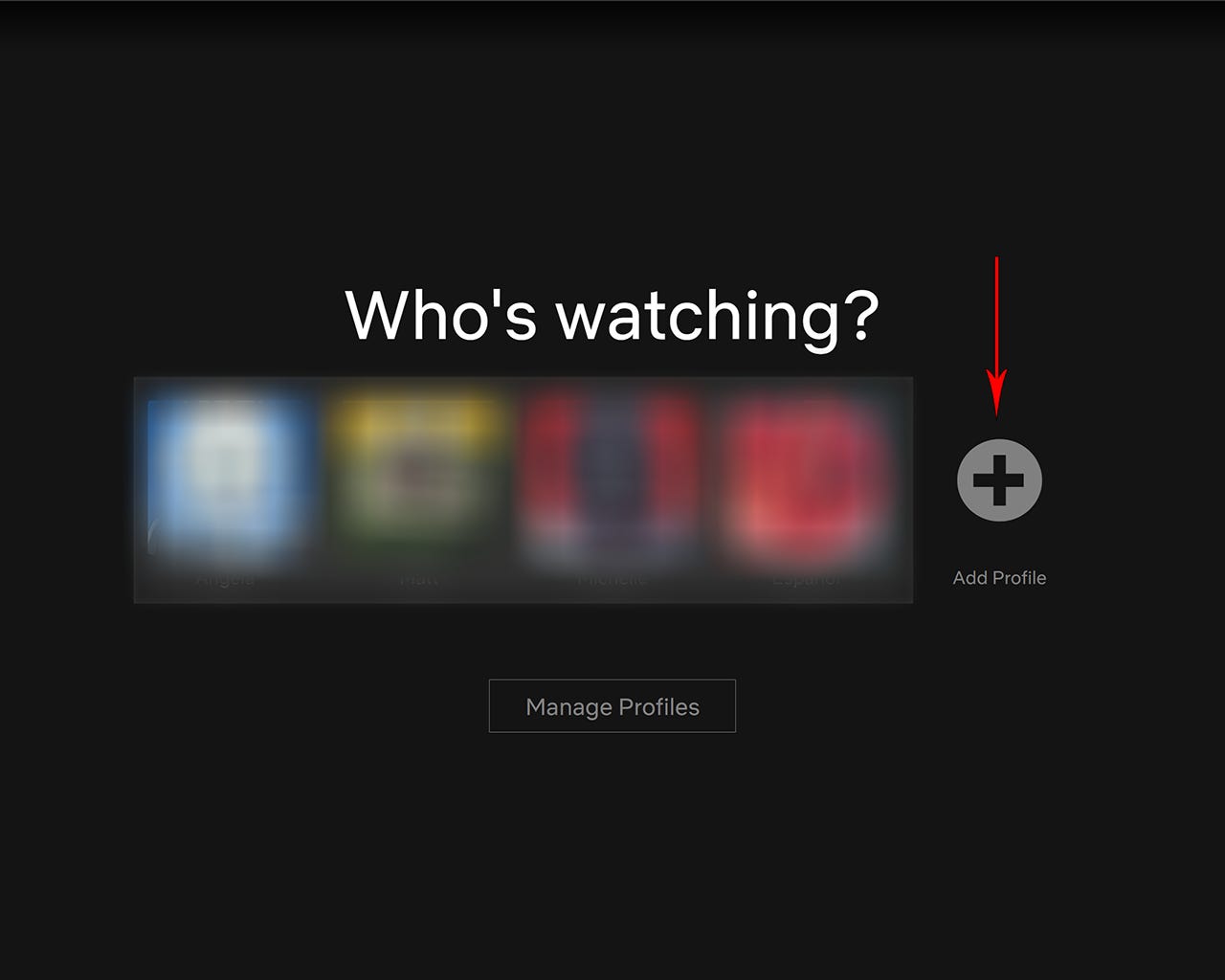 The "Who's Watching" page in Netflix, with a row of profile avatars and an "Add Profile" plus sign at the right end of the row.