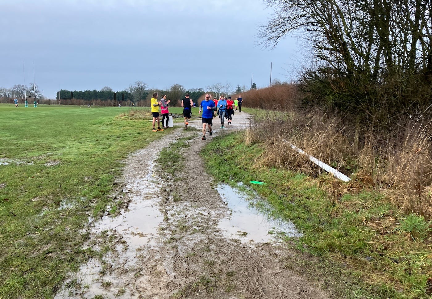 A couple of puddles at the end of a path. Green short grass and long yellow grass by the side under a blue sky.