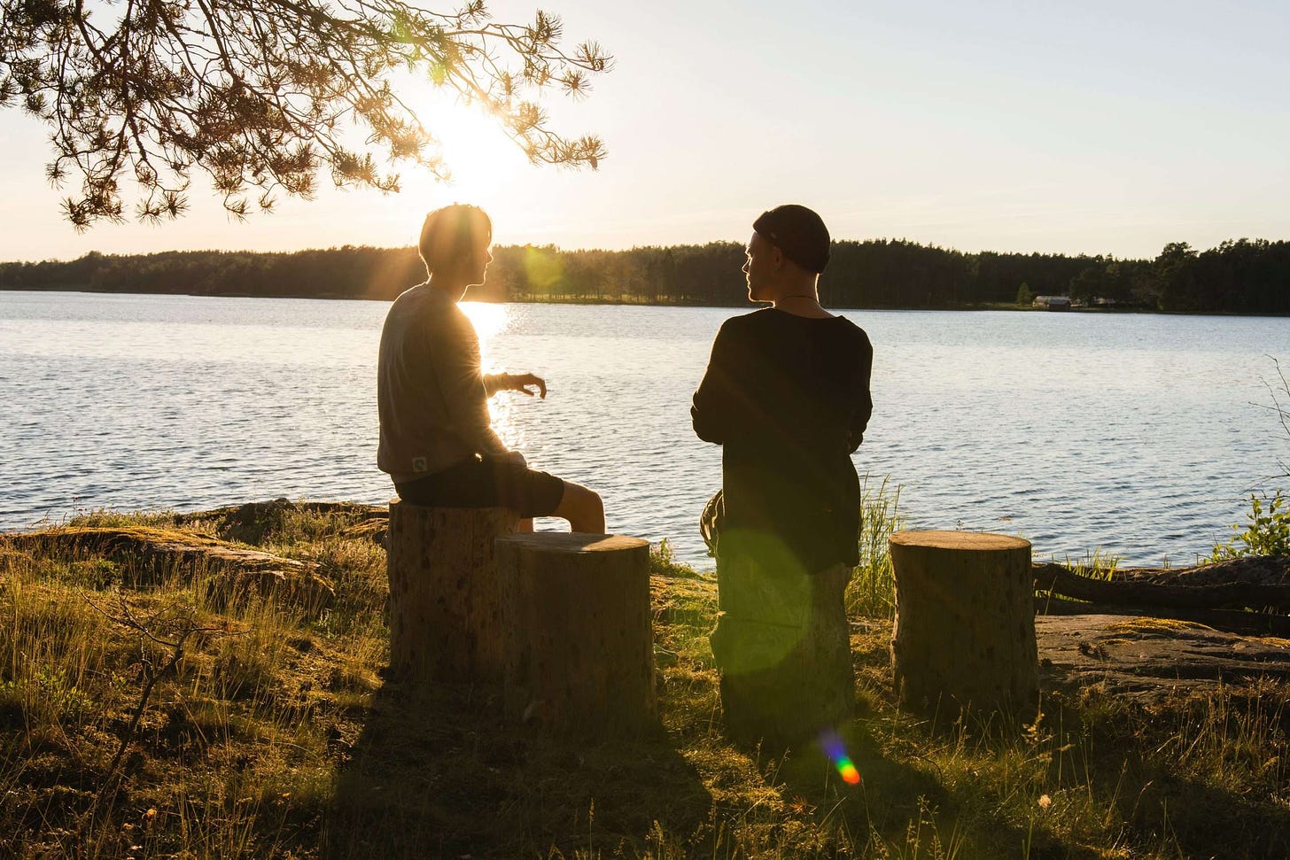 two people sitting on tree trunks by the side of a river talking