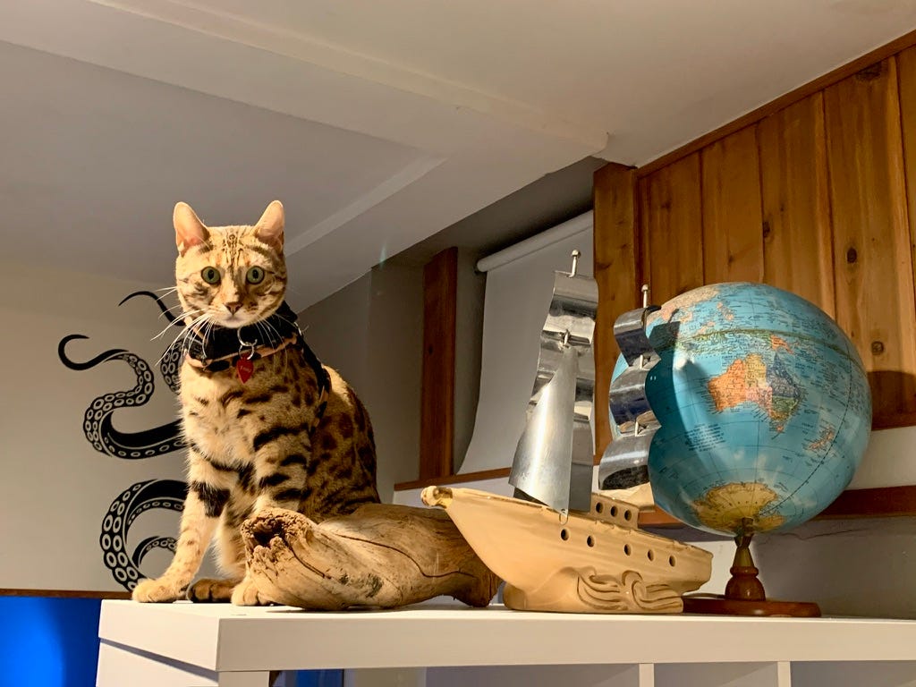 Captains Quarters - airbnb - cat- pet friendly -pirate ship