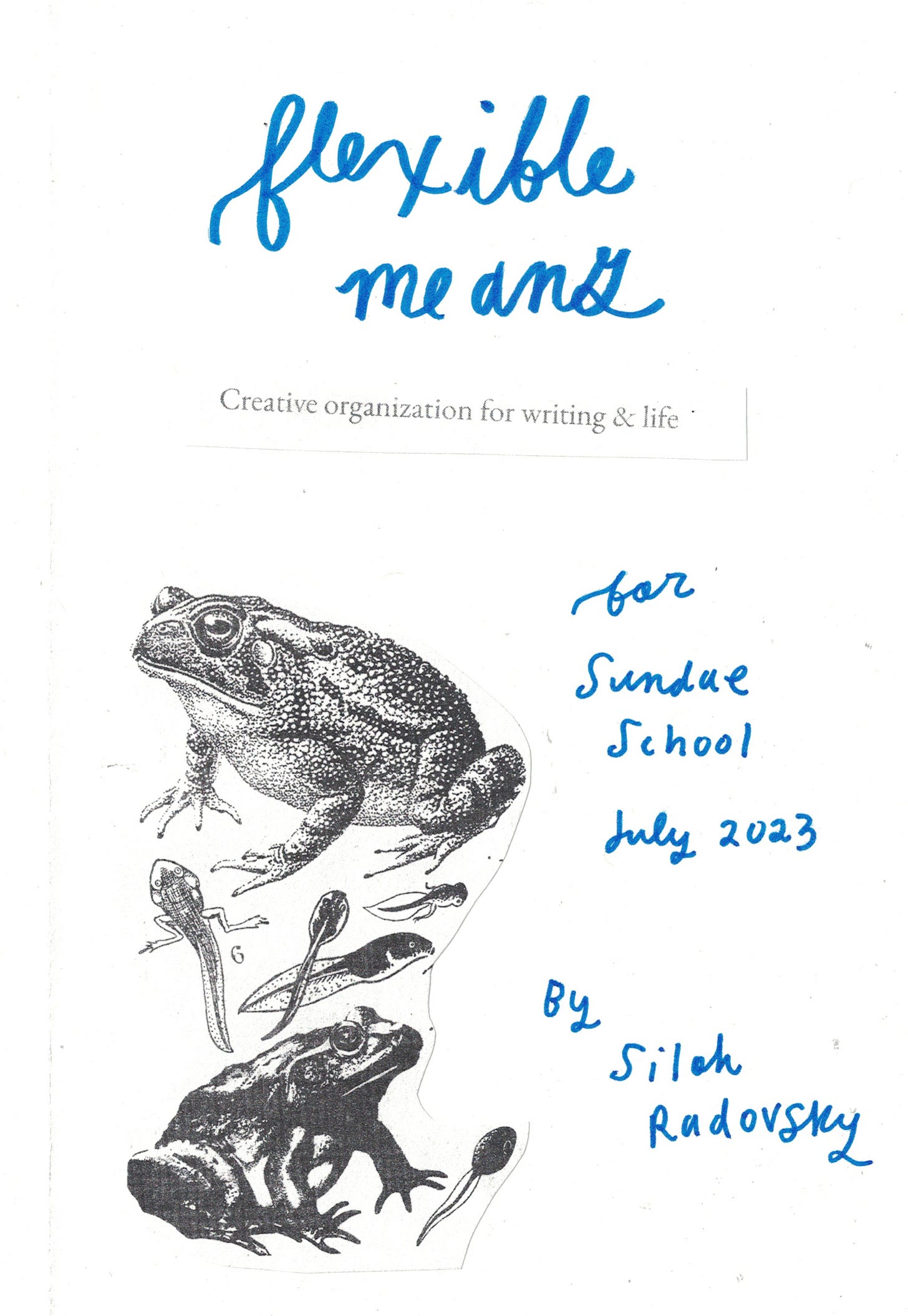 A cover of a zine called Flexible Means. Photocopied and handwritten title, pictures of frogs in cut and paste style.