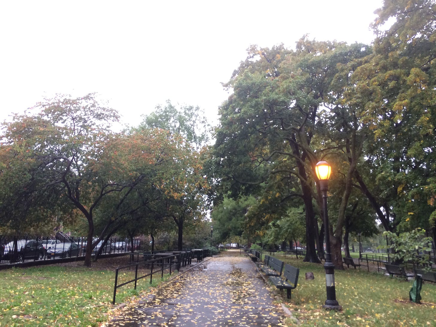 A photo of a rain-soaked Morningside Park.