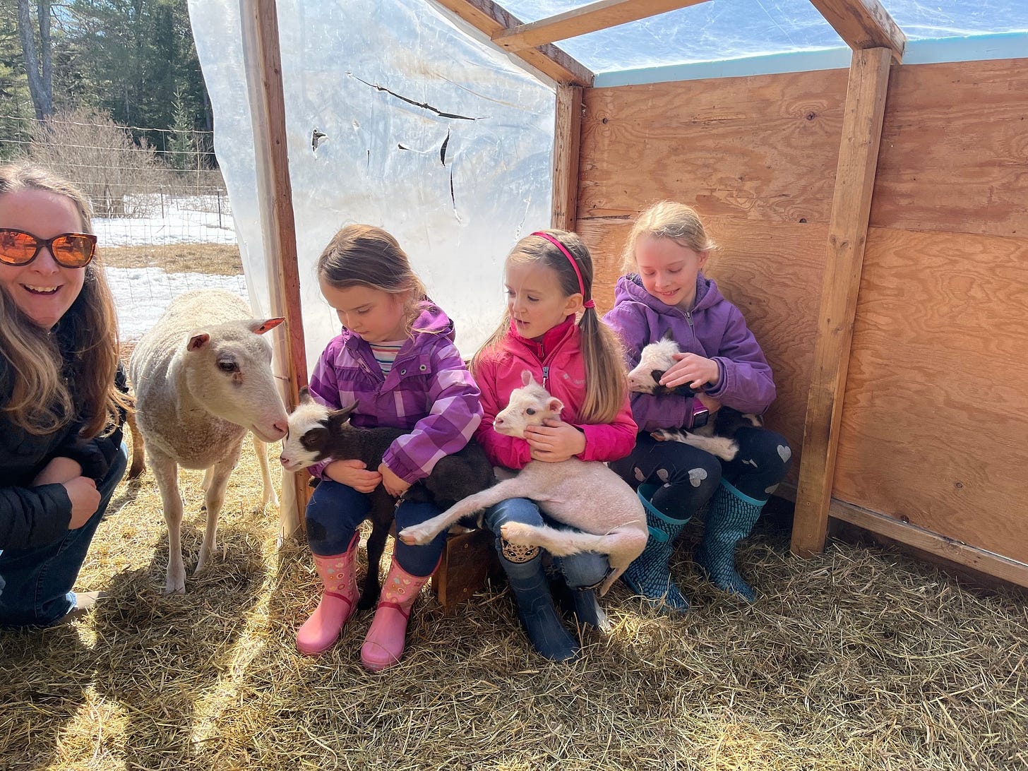 visitors at runamuk acres