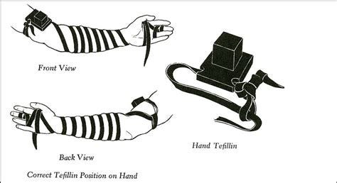 Tefillin Boxes Unveiled: A Deep Dive into Ancient Jewish Practice Tefillin Boxes Unveiled: A Deep Dive into Ancient Jewish Practice