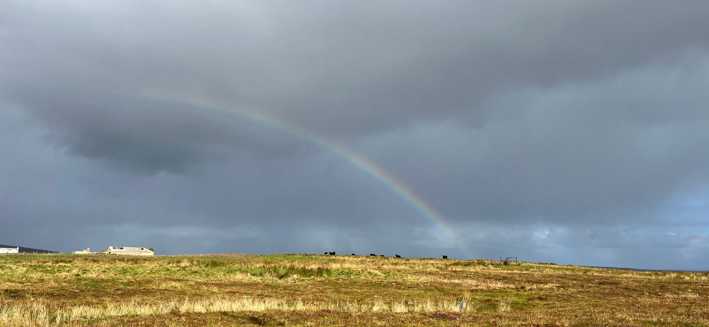 landscape image of a stormy day. Photo is of a filed with a few cows in the distance, the sky is dark grey and there is a flash of rainbow in it