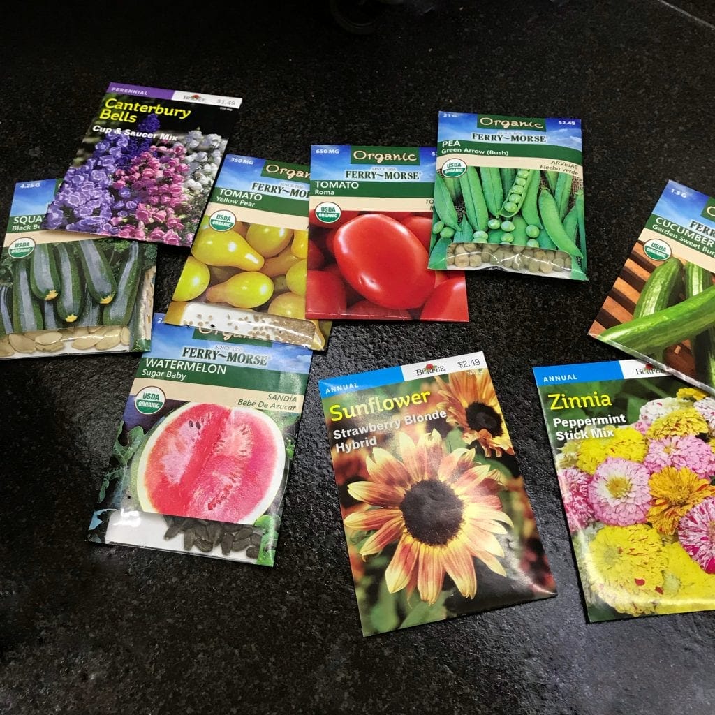 planting seeds in a homeschool garden